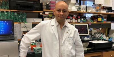 Mehdi Mollapour is named Vice Chair for Translational Research for Urology