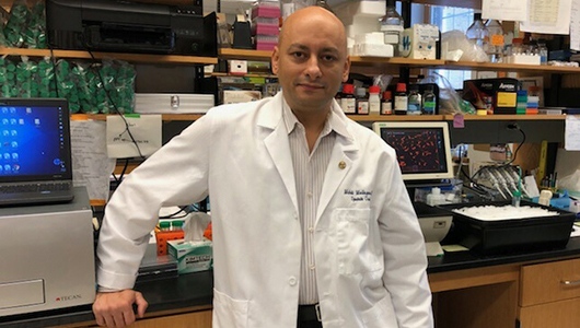 Mehdi Mollapour is named Vice Chair for Translational Research for Urology