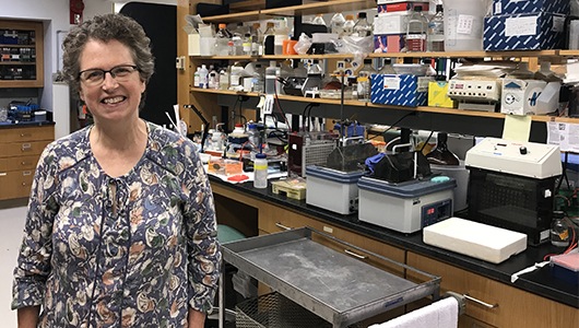 Researcher is awarded $1.1 million NIH grant to continue studies on enzymes to better understand neurodegenerative diseases