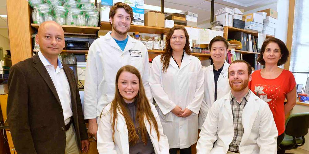 Upstate Medical University students conducting research this summer in a lab.