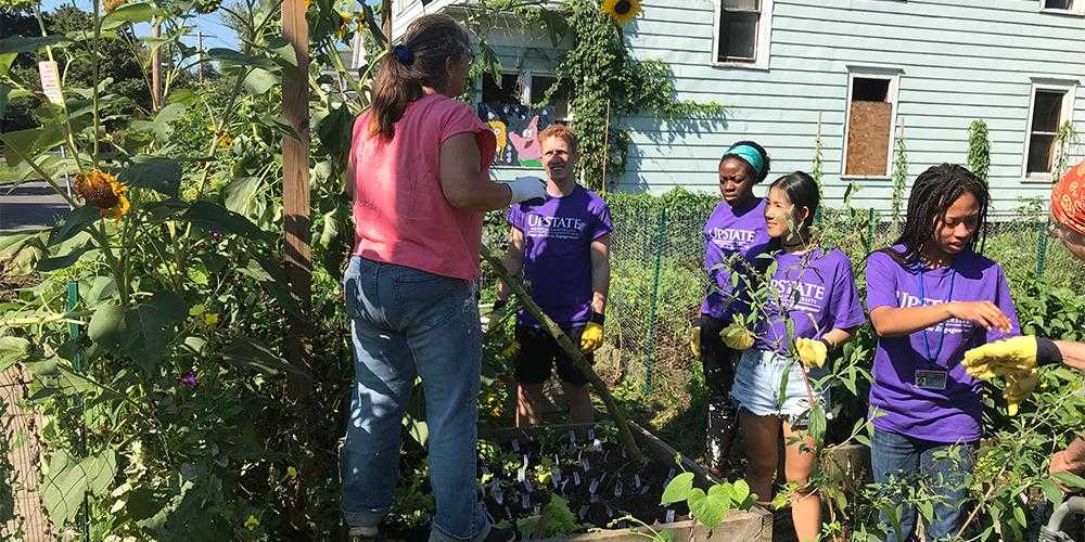 Students clear brush at local garden