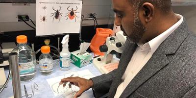 Upstate professor releases findings from Citizen Science Tick Testing Program