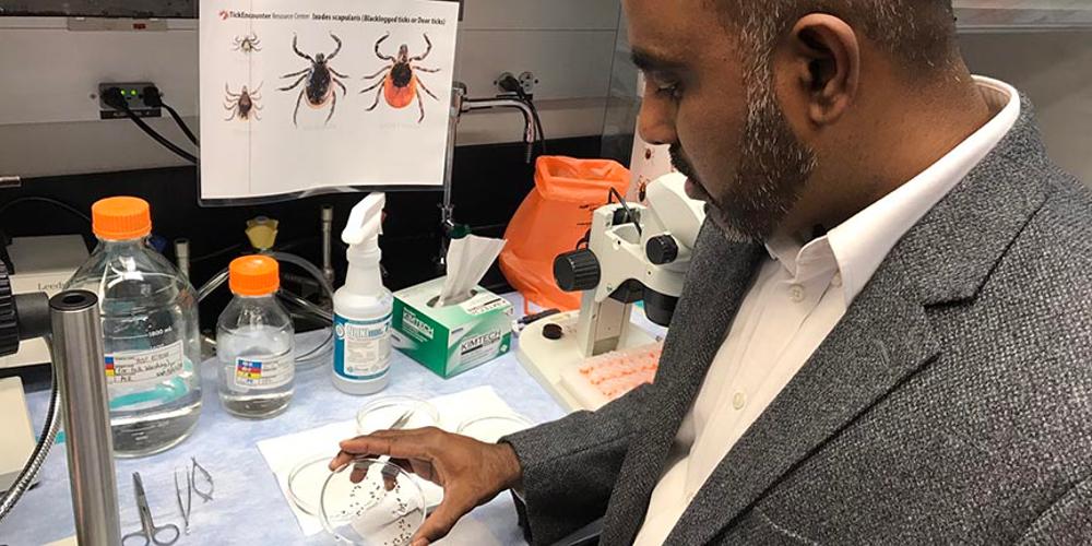 Saravanan Thangamani, PhD, looks at a petri dish full of ticks in his lab.