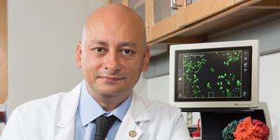 Upstate professor lands federal grant to continue kidney cancer research