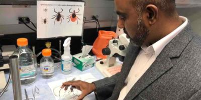 Upstate to begin testing ticks from public on June 1