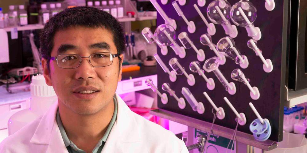 Juntao Luo, PhD, an associate professor of pharmacology, in his lab.