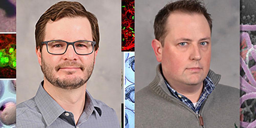 Researchers win grants