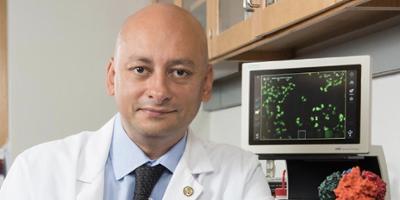 Upstate researcher lands five-year NIH grant for $2.2 million to study chaperone proteins linked to cancer