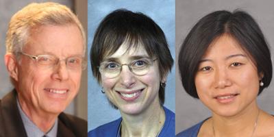 Three Upstate researchers participate in international study looking at ADHD and cardiometabolic diseases