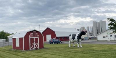 Students take part in Rural Immersion Week in North Country