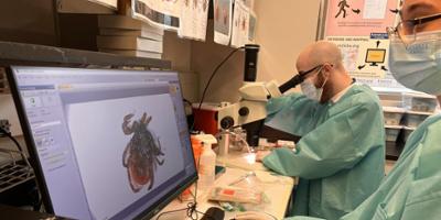 Upstate tick expert predicts huge season for ticks