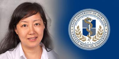 Upstate researcher makes discovery in the Fragile X syndrome, receives funding to research…
