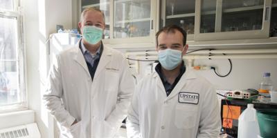 Upstate researchers advance experimental Dengue Human Infection Model to safely test vaccines and drugs