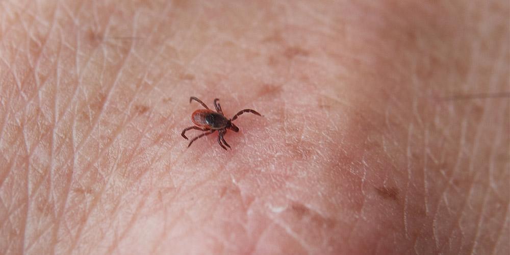 The summit, set for Sept. 28 and 29, will feature a panel discussion with patients coping with Lyme disease.