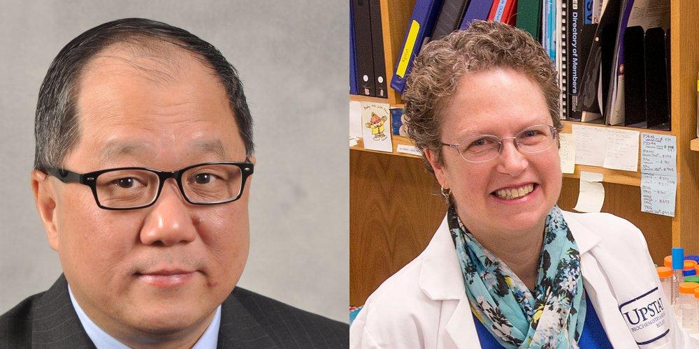 Professors Xie Jie Chen, PhD, and Patricia Kane, PhD, will collaborate on this study over the next five years