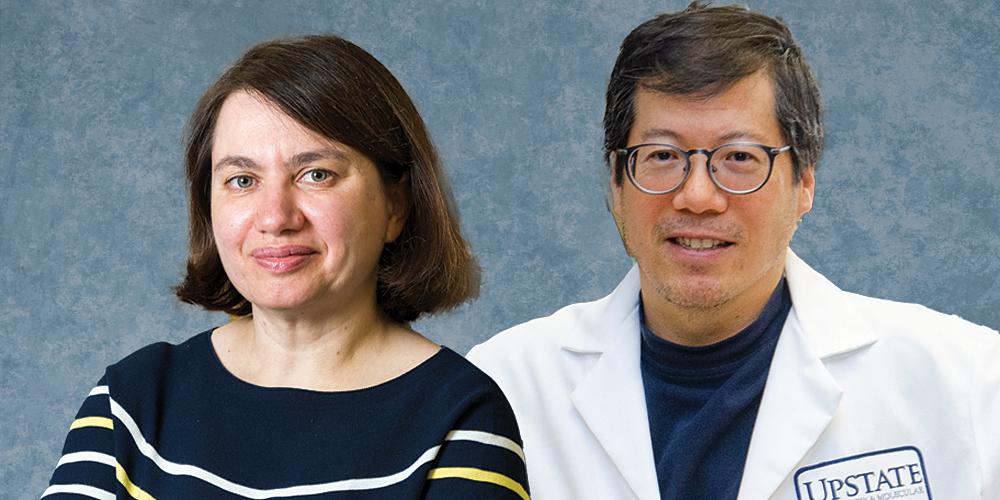 Mira Krendel, PhD, will serve as interim chair of Cell and Developmental Biology, and Stewart Loh, PhD, as interim chair of Biochemistry and Molecular Biology.