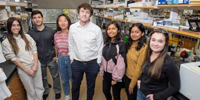 Upstate study offers a promising new avenue for advancing regenerative medicine