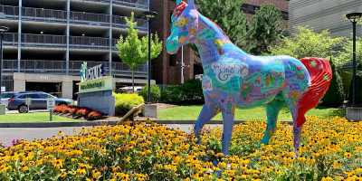 Miracle Champion, outside the children's hospital.