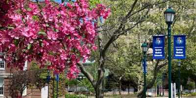 Spring at the Upstate campus