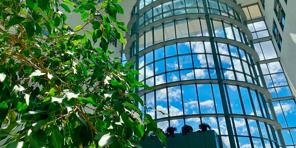 LETTING THE SUNSHINE IN: The atrium of the Institute of Human Performance highlights a beautiful late spring day in Syracuse. Research activities in the building have restarted having been shuttered since mid-March at the start of the COVID-19 pandemic in Syracuse.