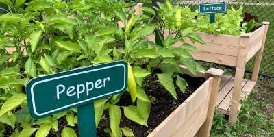 Community Garden