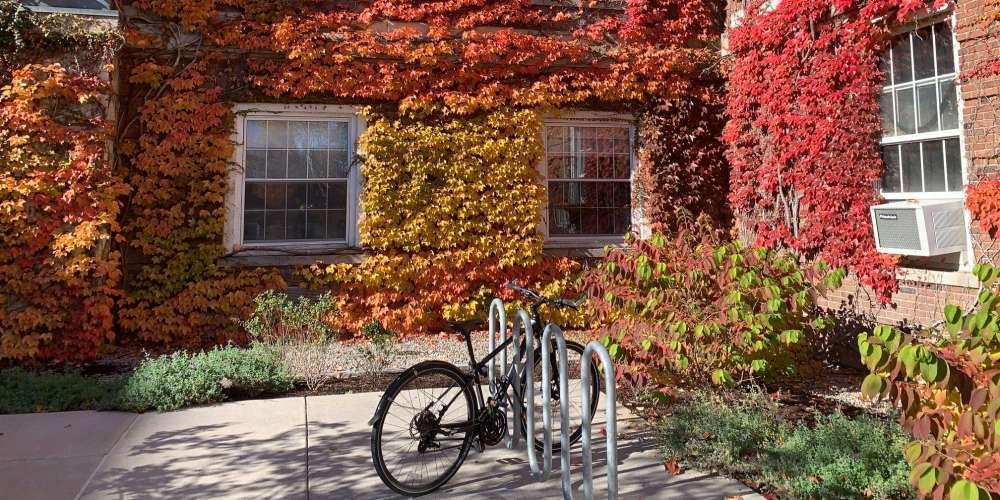 Autumn looks lovely on the ivy-colored walls of Weiskotten Hall on the Upstate campus.