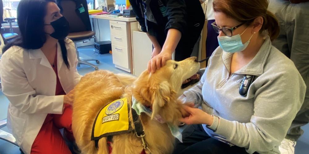 INTRODUCING MOLLY: She’s Upstate’s newest therapy dog assisting patients. She comes to us from Paws of CNY. After her first visit this week at the Upstate Cancer Center, this 12-year-old Golden Retriever is already beloved.