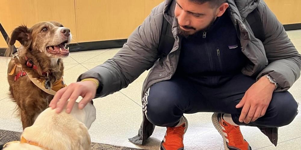Four-legged friends: A student takes a break from studies to greet canines from Pet Partners of CNY during their regular visits to the Health Sciences Library.