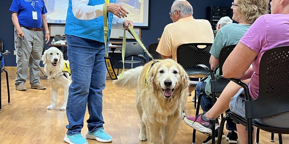 CANINE PRESENTERS: Bailey and Brody, two therapy dogs that visit patients at Upstate University Hospital, are the featured presenters in a OasisHealthLink program on how to be a therapy dog. Volunteers of PAWS of CNY also participated.