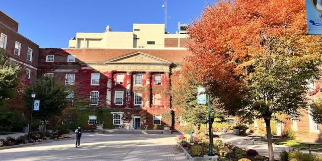 AUTUMNAL BEAUTY: Weiskotten Hall ivy-covered walls and courtyard show off their fall colors.