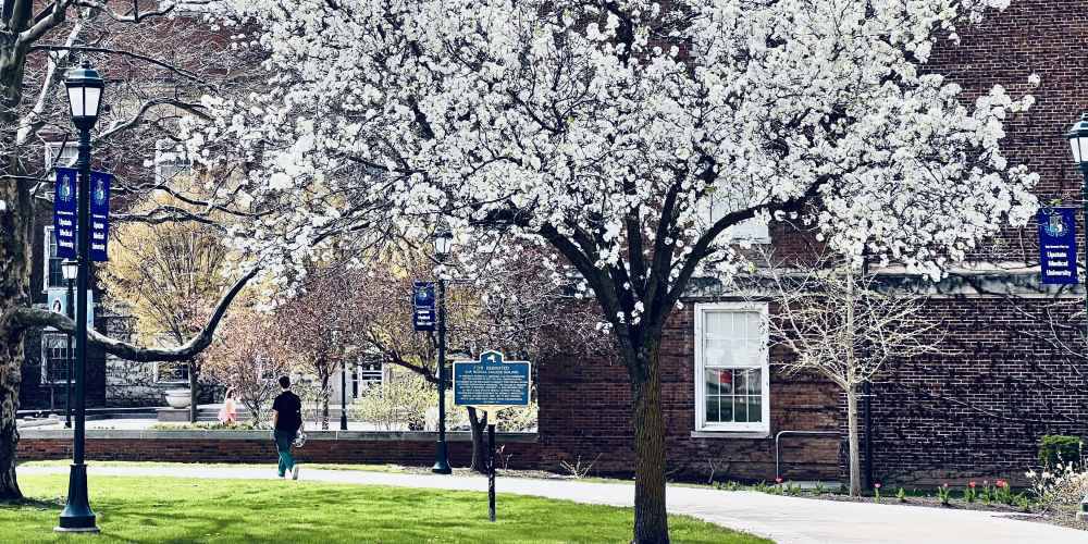 IT’S SPRING! The calendar says Spring arrives in late March, but it took until late April for Spring to blossom on the Upstate campus.