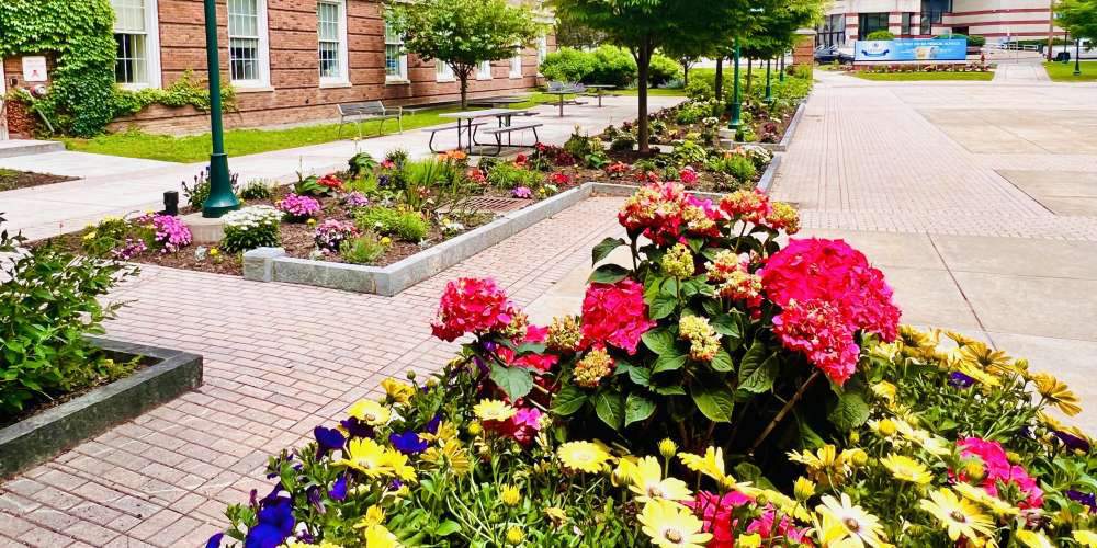BEAUTY IN BLOOM: The Weiskotten Hall courtyard is awash in summer colors.