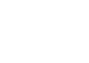 alt_text