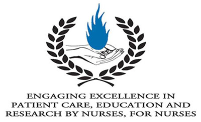 engaging excellence- pt-care-ed-research