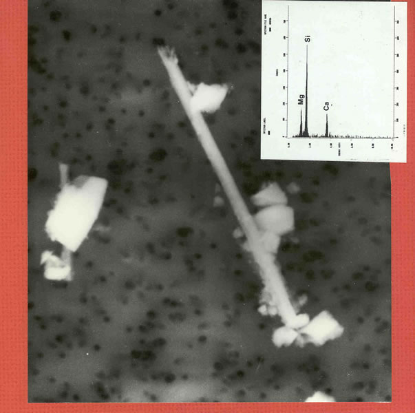 tremolite fiber with EDS spectrum