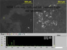X-ray microanalysis of talc particles