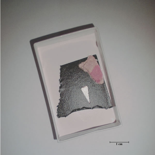 cardboard 1