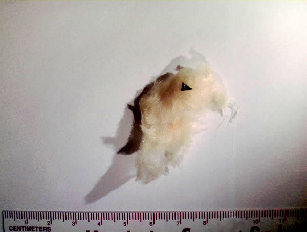 New fiber glass