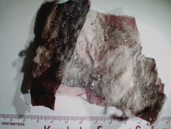 Old fiber glass