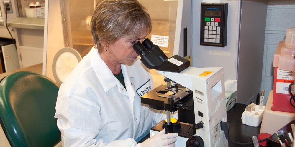 Pathology Lab Member at Microscope