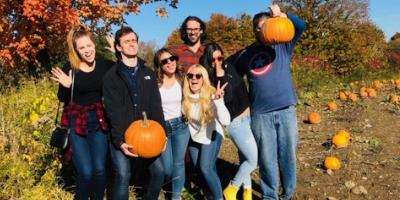 pumpkin patch
