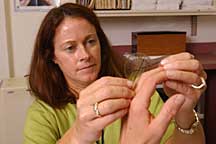 Nurse manipulating person's hand.