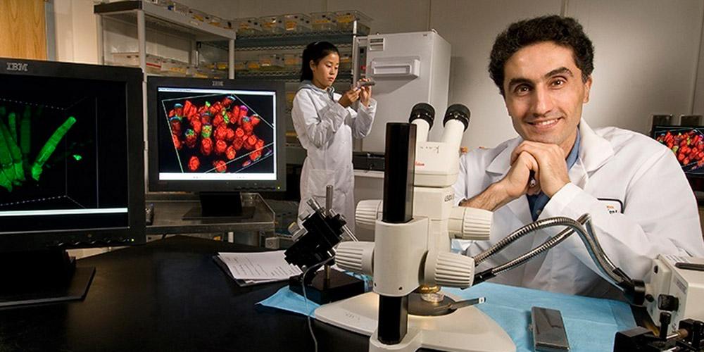 Mohammad Haeri, PhD MD