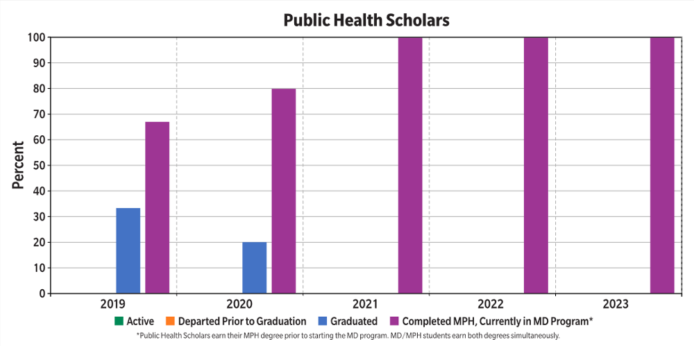 Public Health Scholars