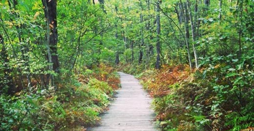 Beaver Lake