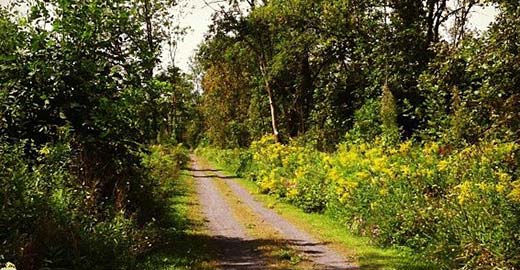 The Erie Canal trail