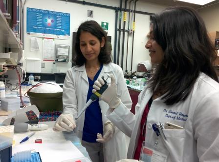 Research Activity