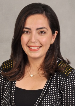 Ruham Alshiekh Nasany, MD