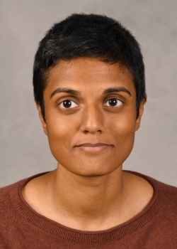 Jaya Sanapati