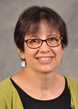 Amy Slutzky, PhD, MSLIS, AHIP